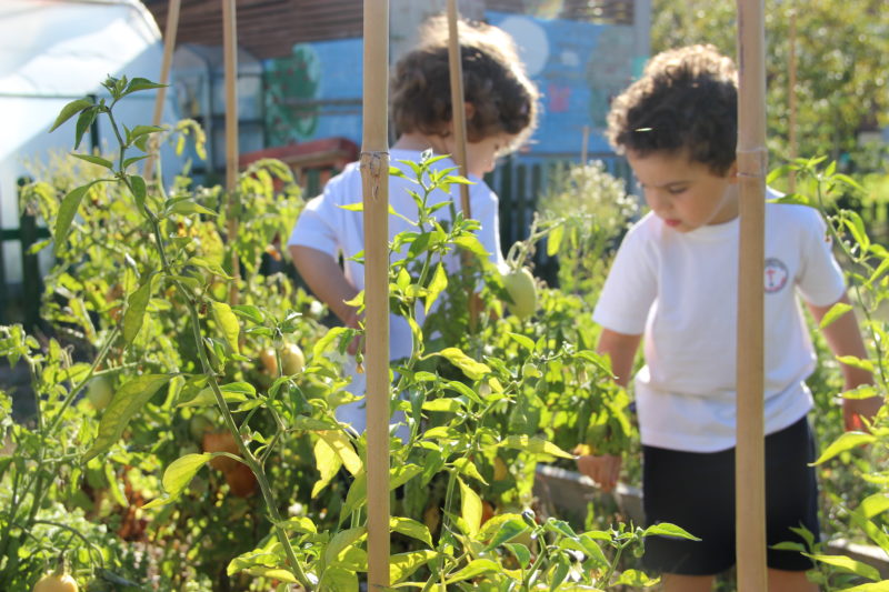 Escuela Infantil Vuelta al cola